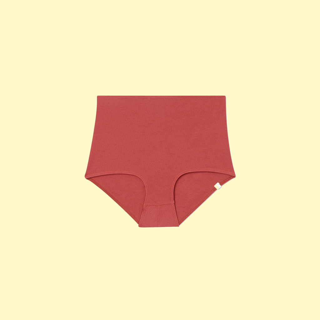 The Ribbed Classic High Rise Bikini Bottom