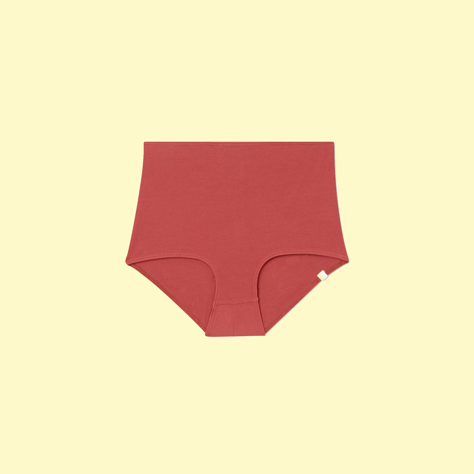 The Ribbed Classic High Rise Bikini Bottom