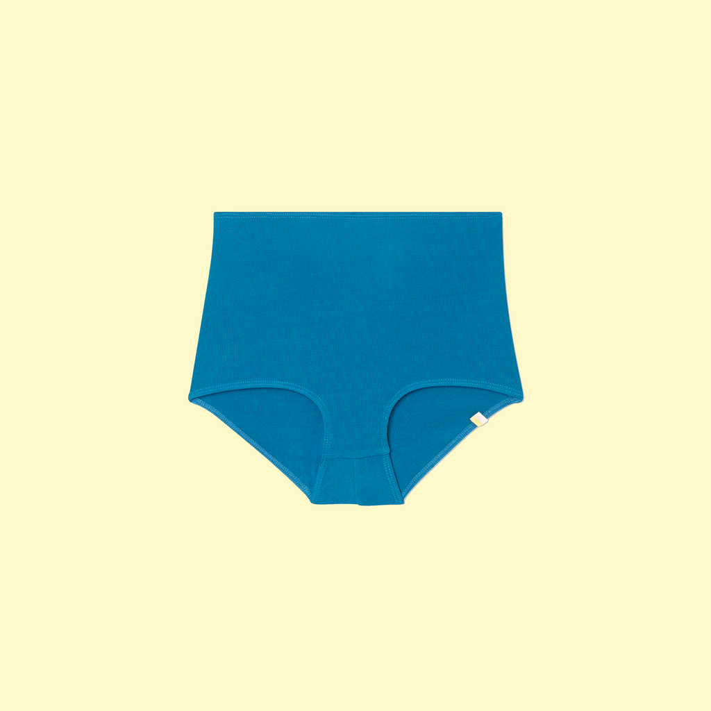 The Ribbed Classic High Rise Bikini Bottom