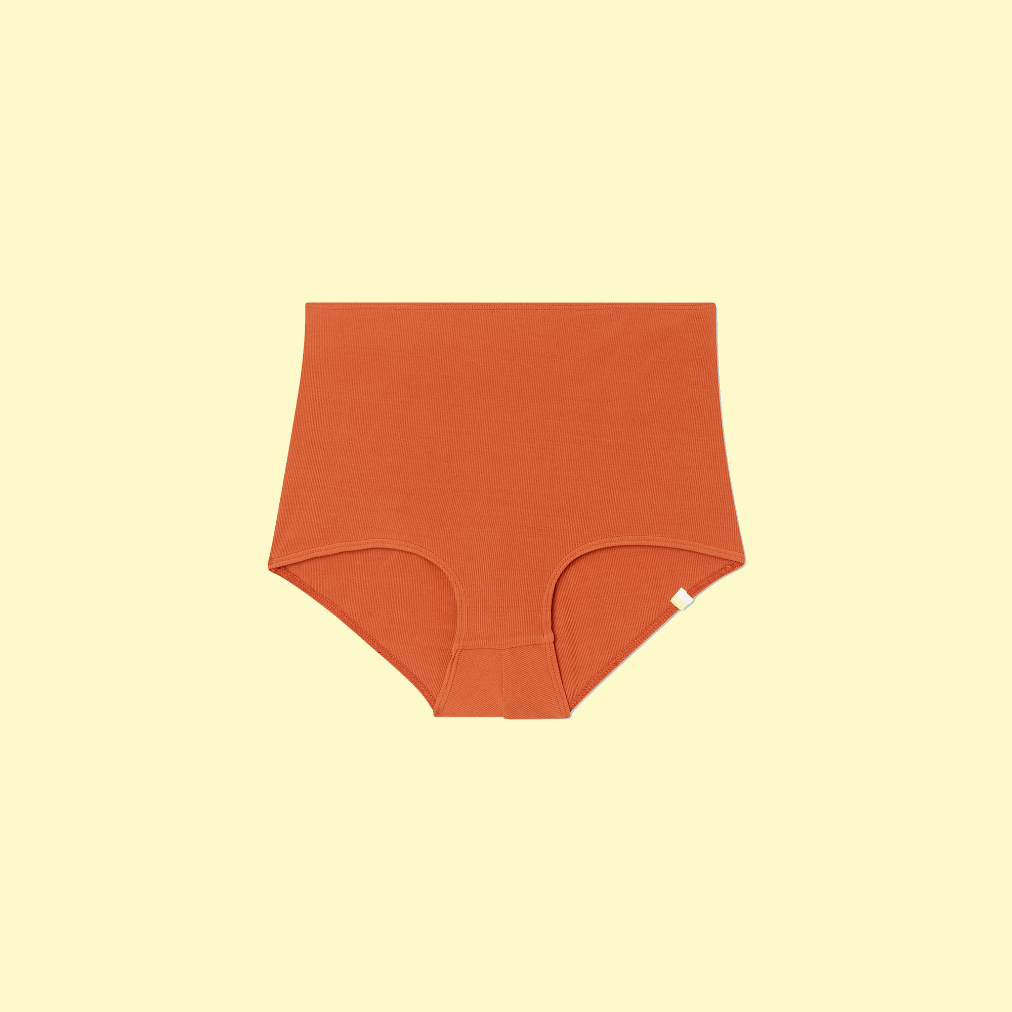 The Ribbed Classic High Rise Bikini Bottom
