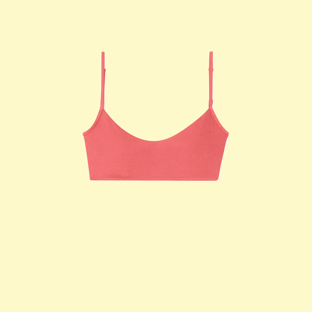 The Voyager Bikini Top